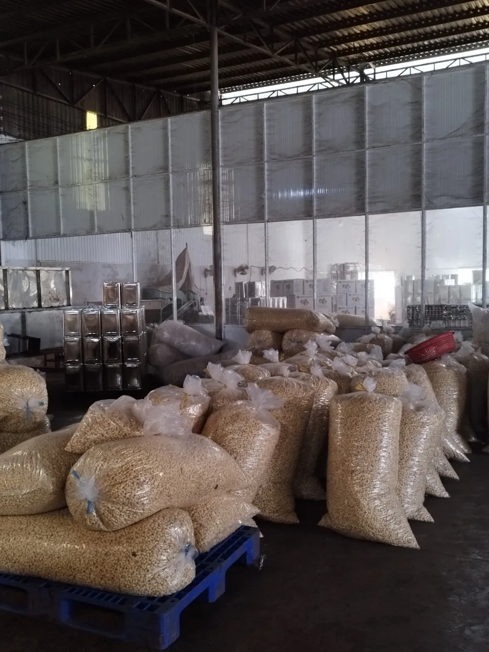 Competitive Price Provide Protein VietNam Factory Whosale White Cashew Nuts W320 W240 W180 High Quality Dried Nuts Kernel