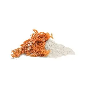 PROMOTIONS OFFER 2024 WHOLESALE PRODUCTS CARRAGEENAN/SEA MOSS POWDER NUTRITIONAL SUPPLEMENT TO HELP IMPROVE HEALTH