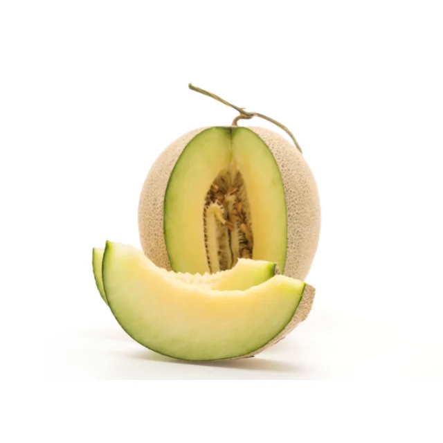 Hot Sale and High quality Fresh Fruit Cantaloupe from Vietnam