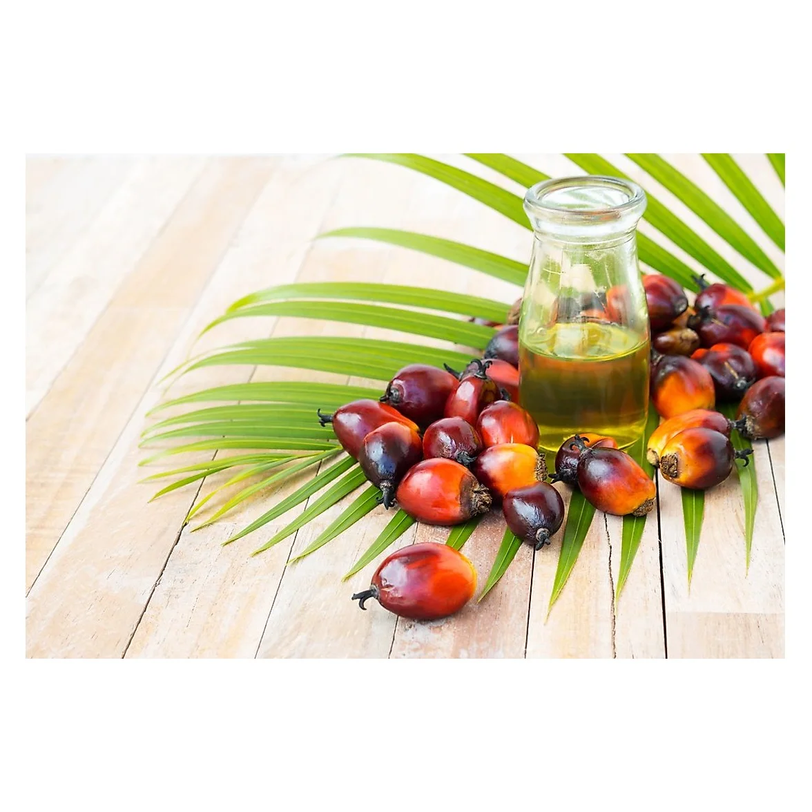 Cheap Wholesale Top Quality RBD Palm Olein - Crude Palm Oil 100% Refined Oil In Bulk