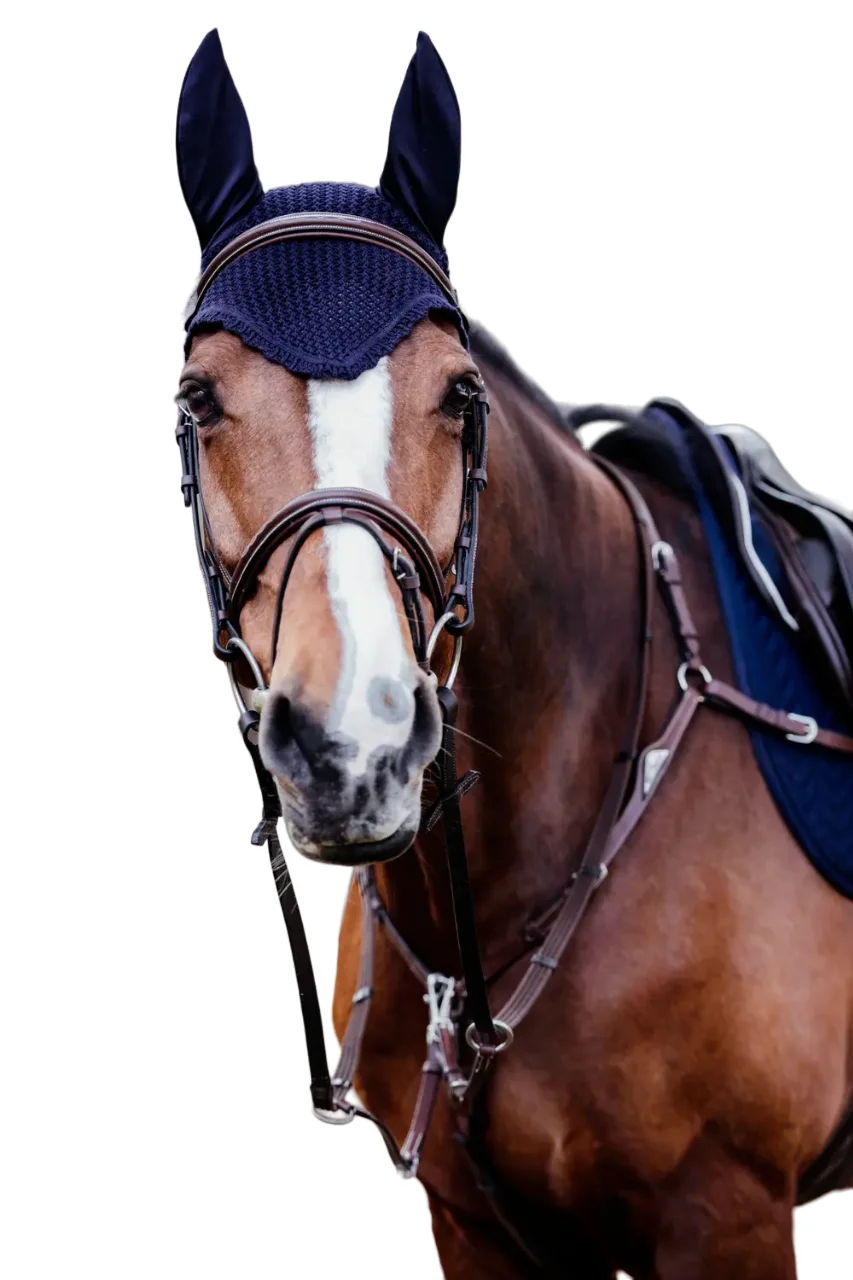 Designer with Logo Ear Bonnet Wholesale Products Equestrian Horse Fly Veil Equipment For Horse Ear Bonnet