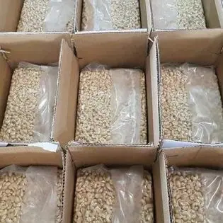 Vietnam cashew nut packing in tin/can for sell new crop 2022 all grade of cashew available