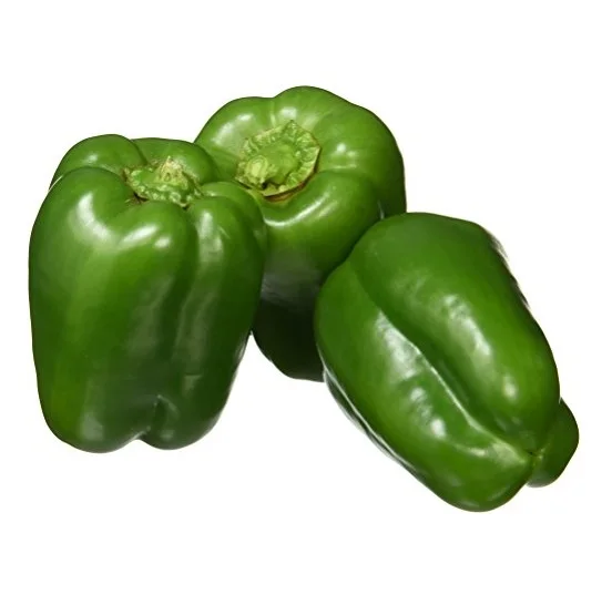 Fresh egyptian capsicum fresh bell pepper egypt high quality fresh sweet pepper cheap price 100% Natural