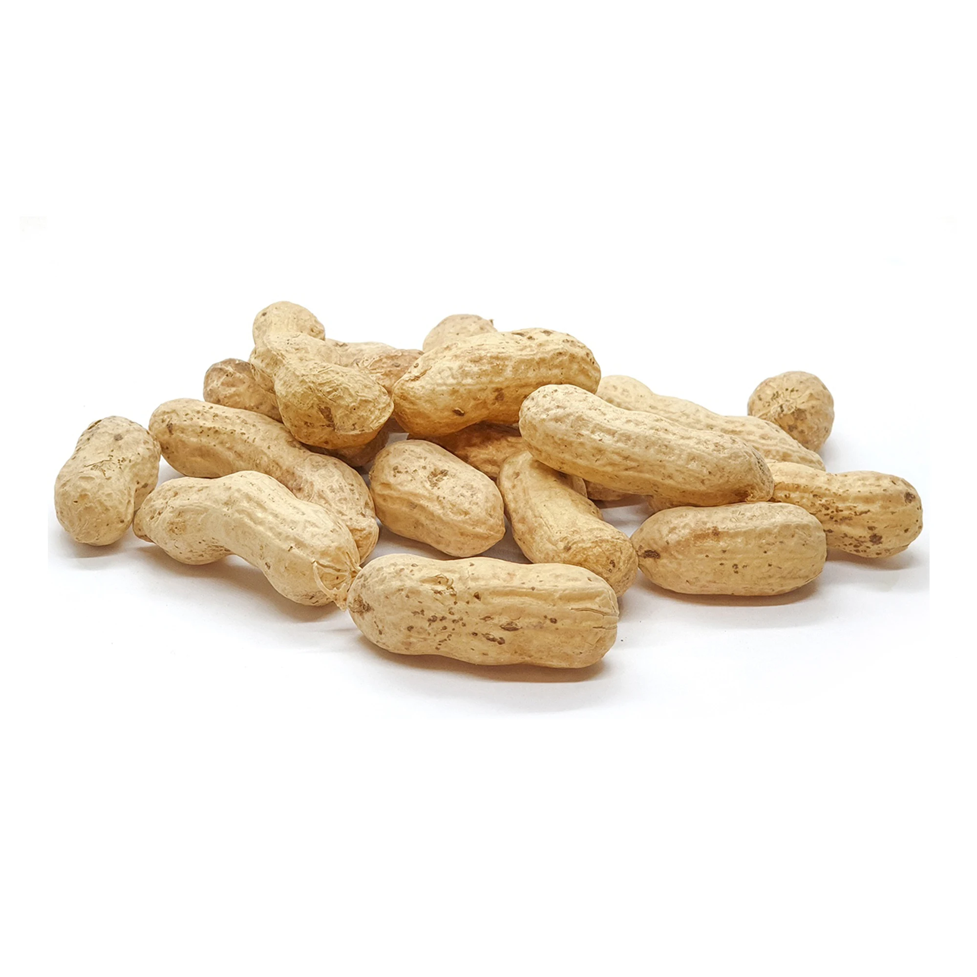 Высший Сорт Оптовая Продажа Натуральные оптом 15 кг мешок арахис из Узбекистана без ГМО жареный арахис для пищевых продуктов