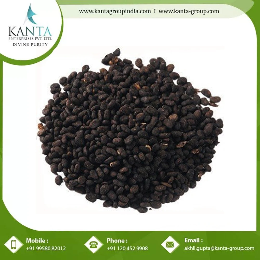 Cosmetic Ingredient Raw Material Cold Pressed 100% Pure and Natural Psoralea Corylifolia Oil At Bulk Wholesale Price