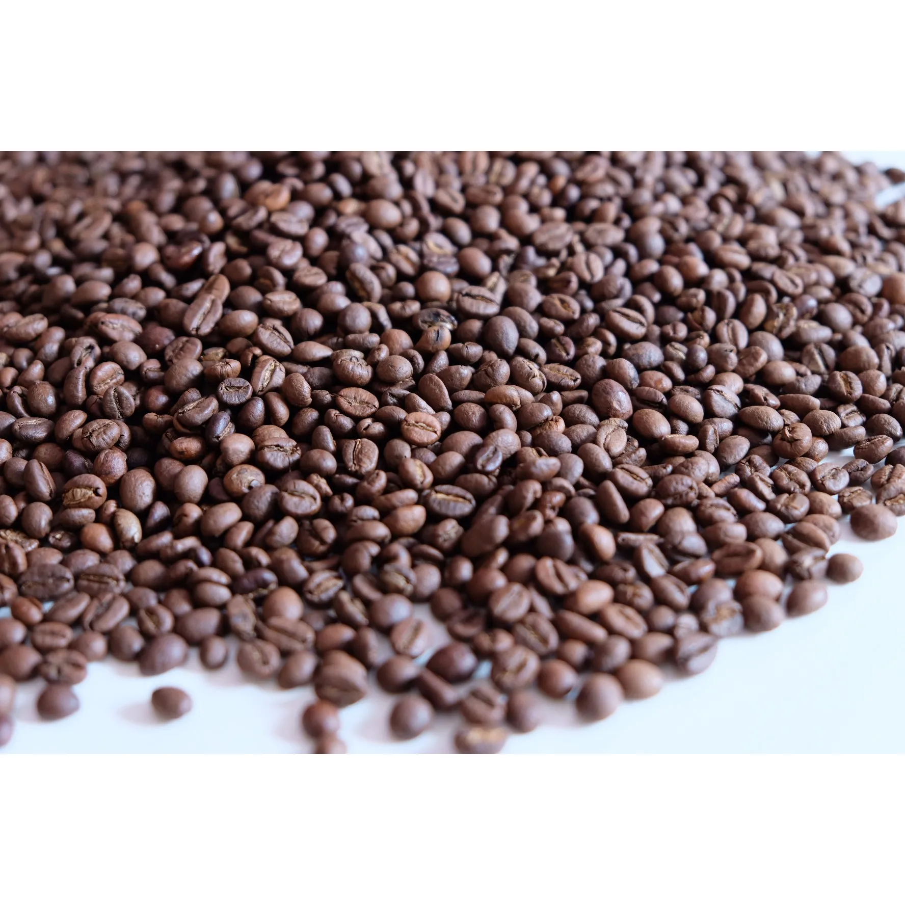 Factory Price Products Robusta S14 Roasted Carpentry Coffee Beans  Roasted   High Quality Roasted Beans