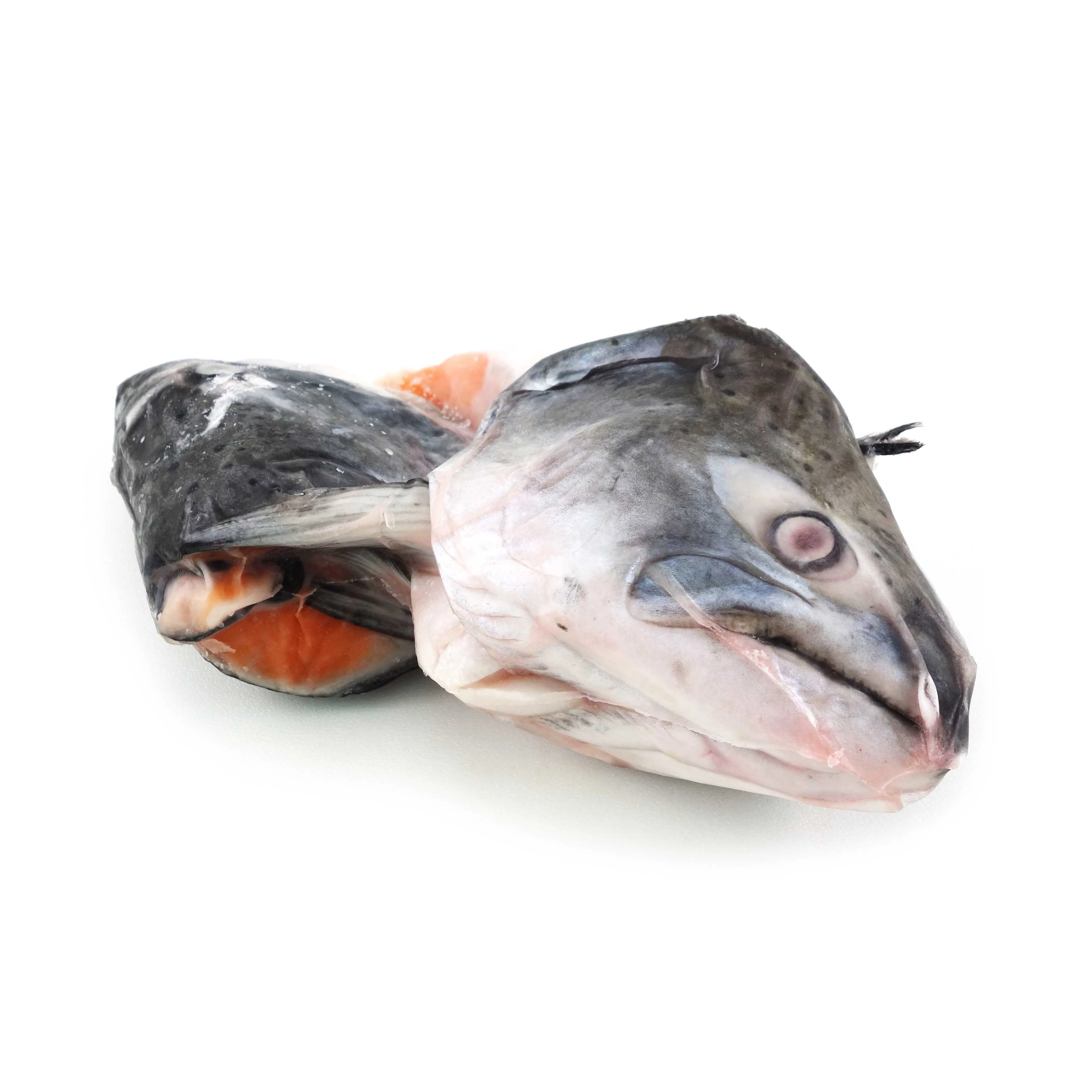Salmon Fish Frozen Fillet Fresh And Frozen Atlantic Salmon Fish/Whole Frozen Salmon/Salmon Head For Sale