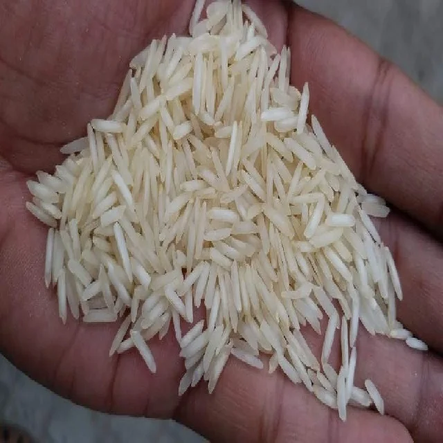 FREE SAMPLE 1509 CREAMY WHITE BASMATI RICE CURRENT CROP AVERAGE LENGTH 8.4 MM 50 KG PP BAG PACKING FACTORY STUFF READY TO EXPORT