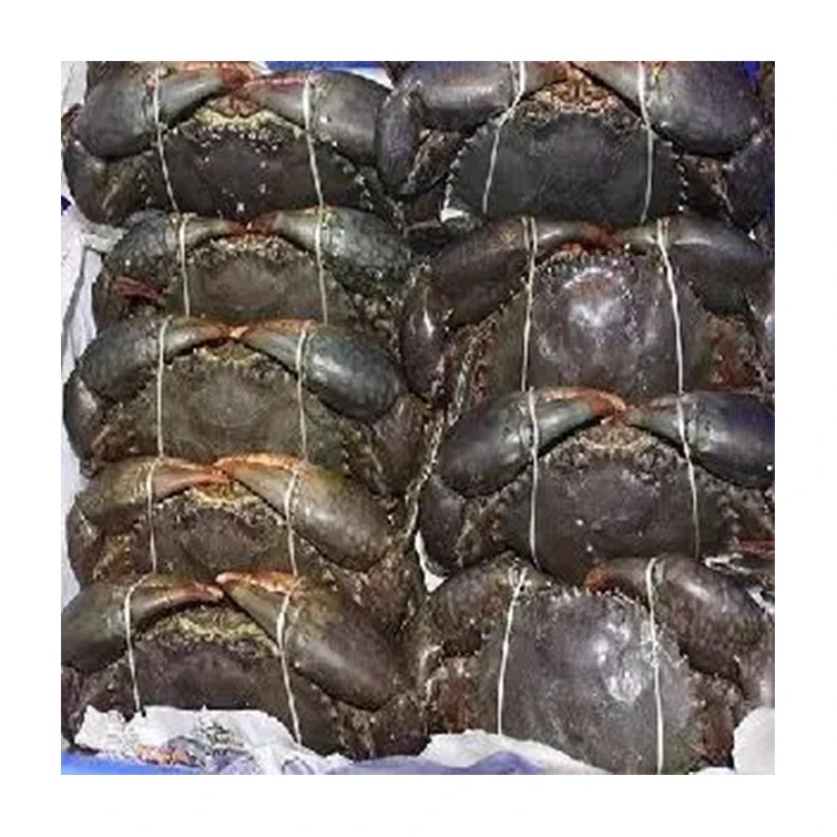 Low Price Cheap Exporters Suppliers Packaging Custom Nature Seafood Frozen Fresh Mud Crab From Brazil