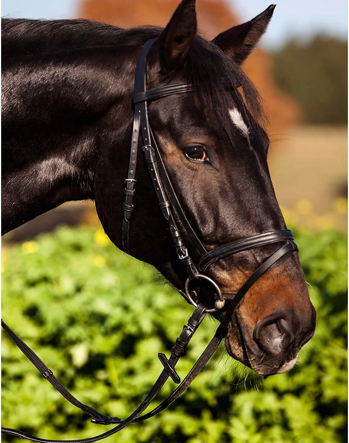 Wholesale Custom Equestrian Leather Horse Figure 8 Bridle Rhinestone Jeweled Show Head Gear Cross Noseband Horse Equipment