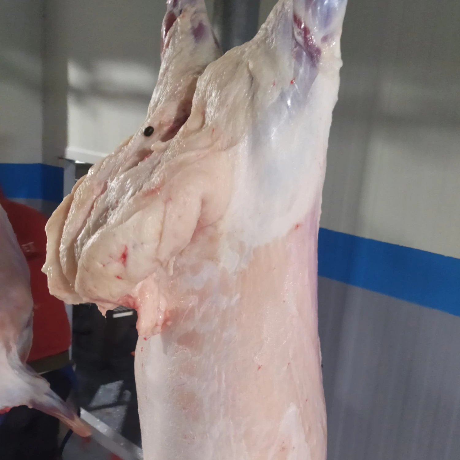 Высококачественный жир из хвоста ягненка-сертификат halal-печень турецкой Овцы-100% органический и полезный = вакуумный замороженный