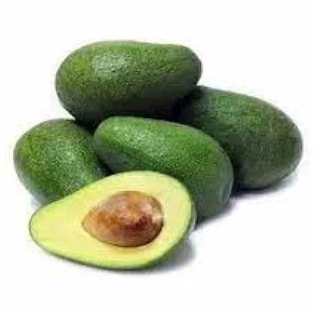 High Quality Organic Fresh Hass Avocado Ready for Export at Best Price