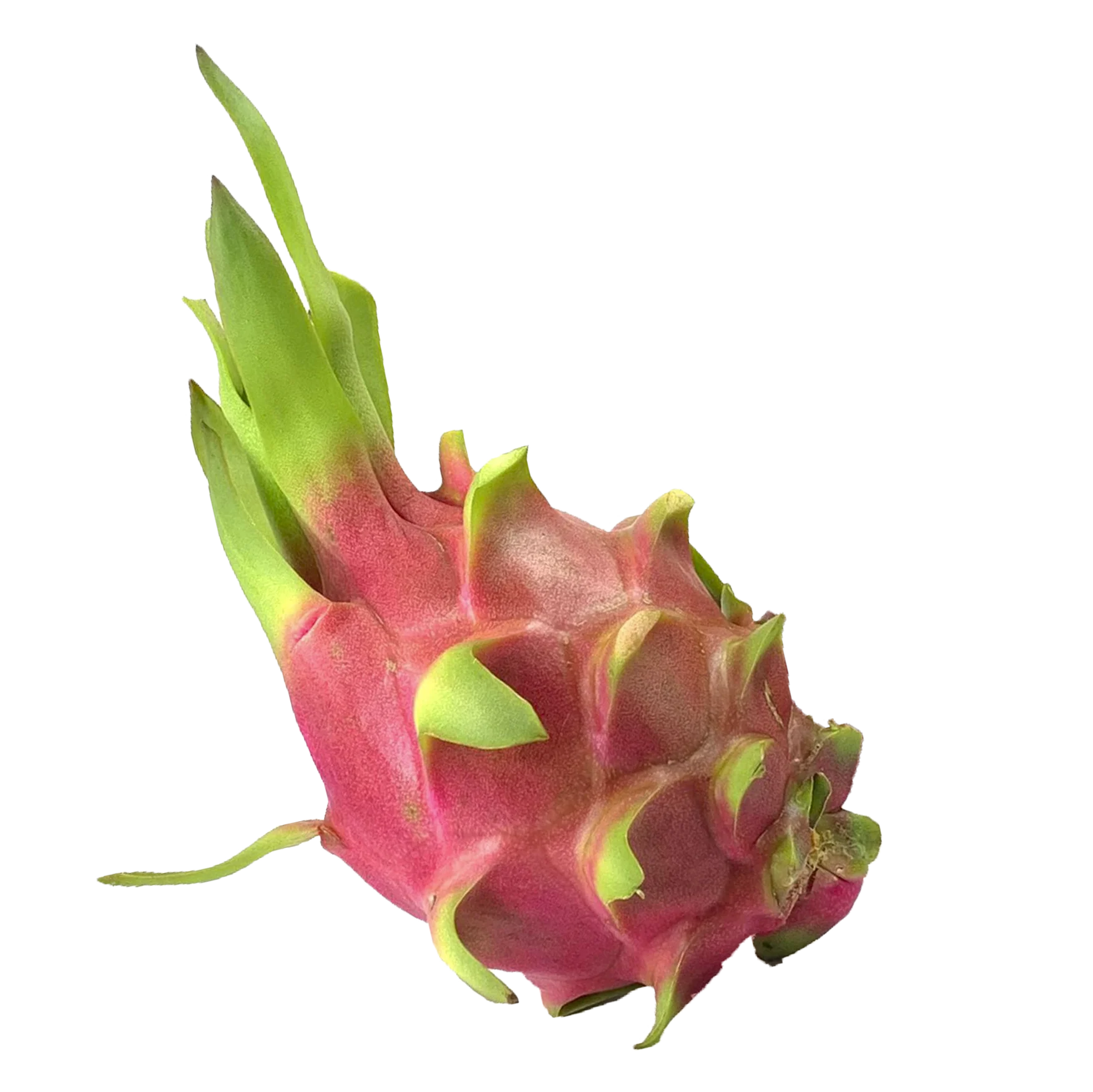 Best Selling First Grade Fresh White Dragon Fruit Delicious Export Using For Food Customized Packing From Vietnam Manufacturer