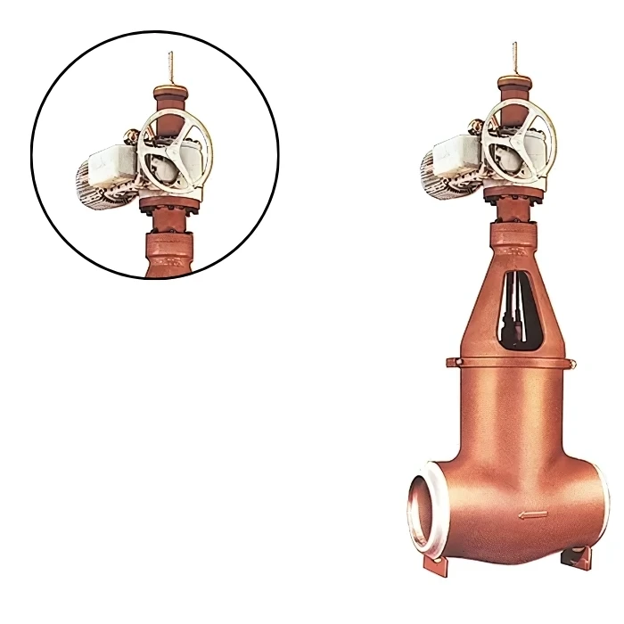 High Quality Flex Wedge Flexible Wedge Gate Valves Seismic Qualified for Nuclear Applications