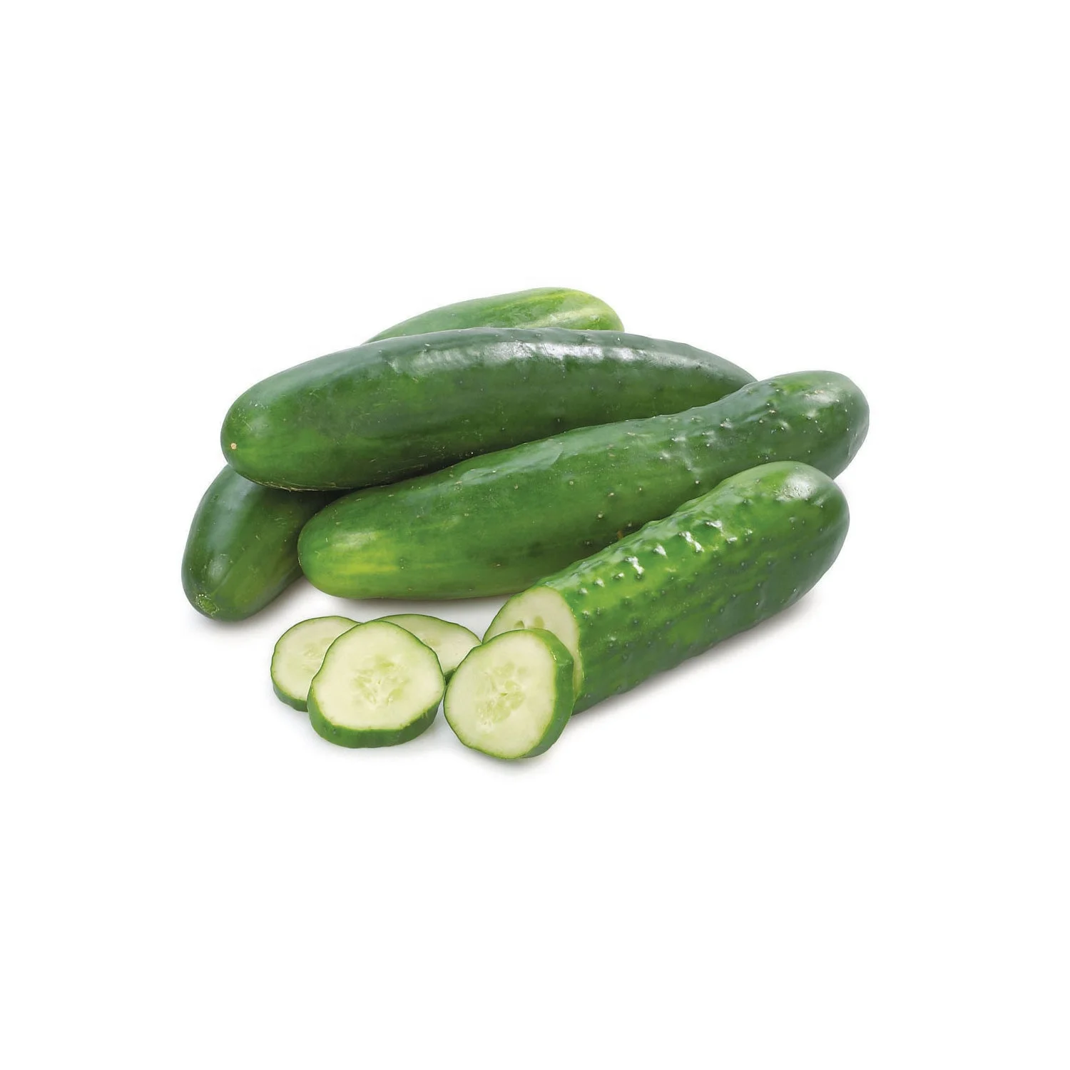 Fresh organic dried best quality cucumber