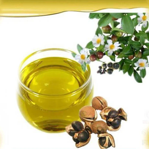 Wholesale price high quality fresh Camellia oil 1L