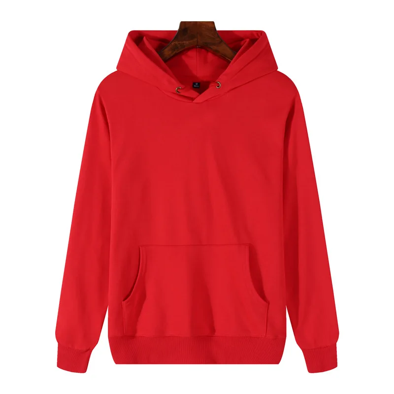 Custom puff printing hoodies 600 gsm hoodie puff printing hoodie unisex Heavyweight Cotton Tech