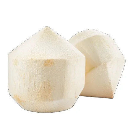 Wholesale reasonable price high quality fresh coconut from Vietnam export in bulk