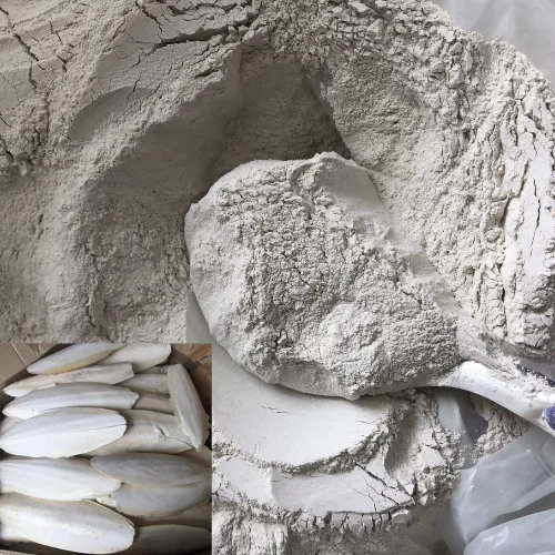 Affordable 100% organic cuttlefish bone powder, high-quality seafood from Vietnam, available frozen or whole