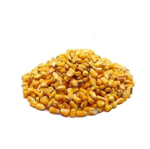 100% Wholesale Factory Price Drier Corn Non GMO Yellow Maize Corn