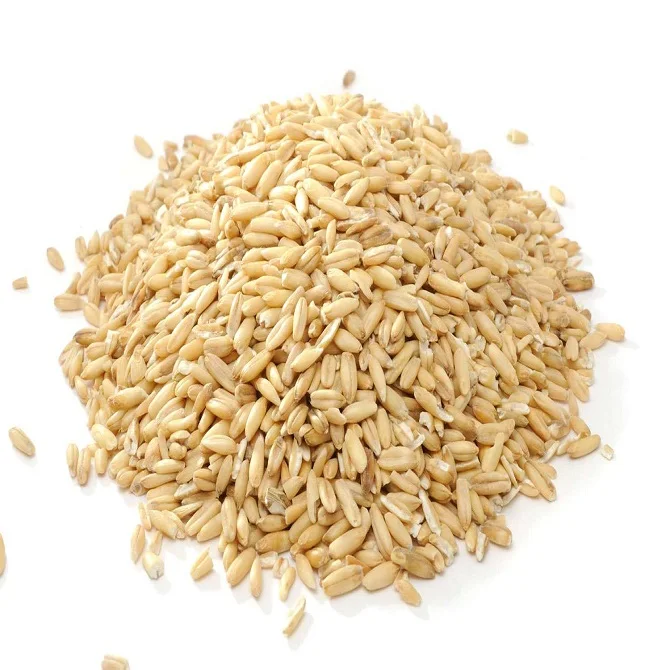 Dried Wheat | Hard Durum Wheat | Soft Grain Seeds