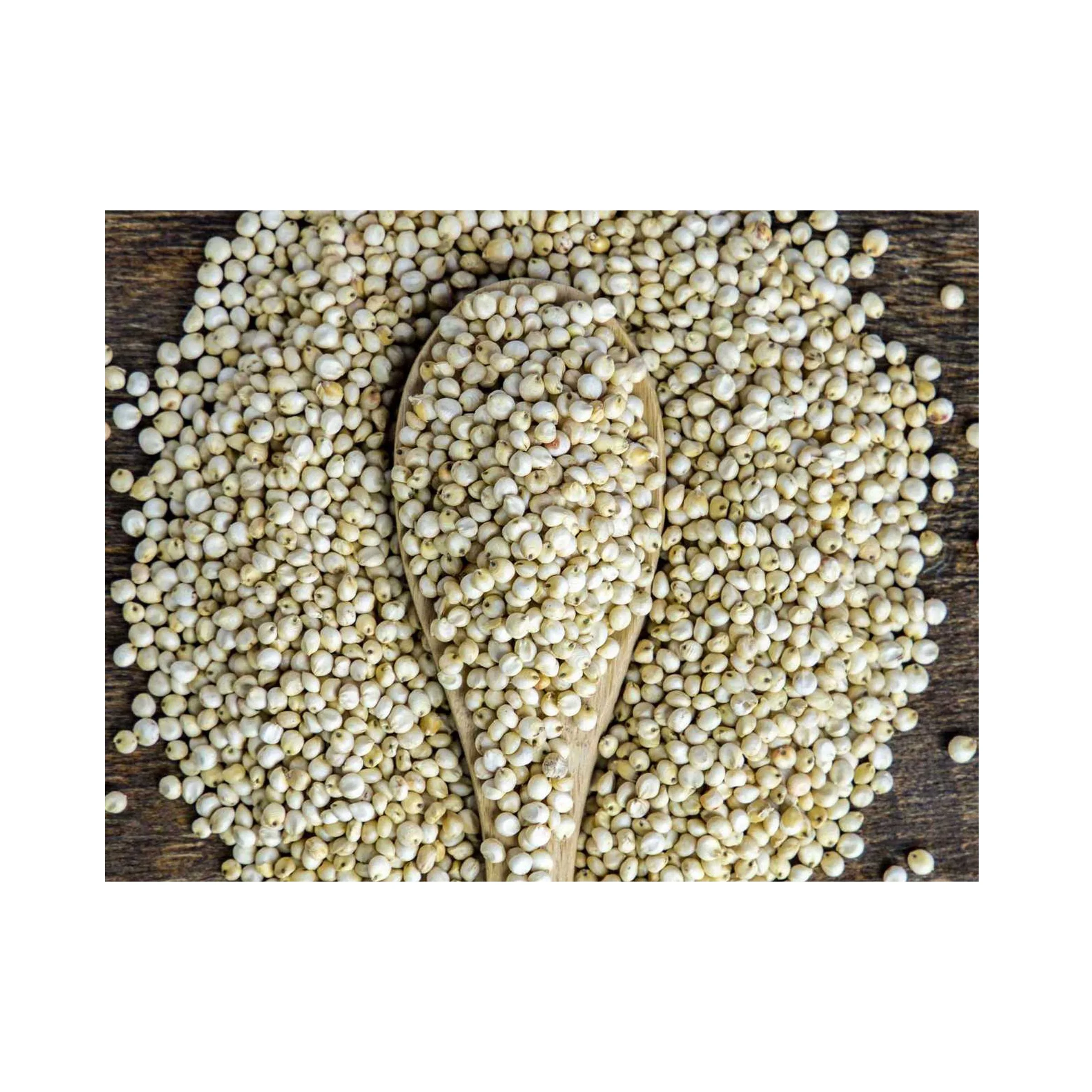 Highly Nutritious Natural Sweet Wholesale White Sorghum