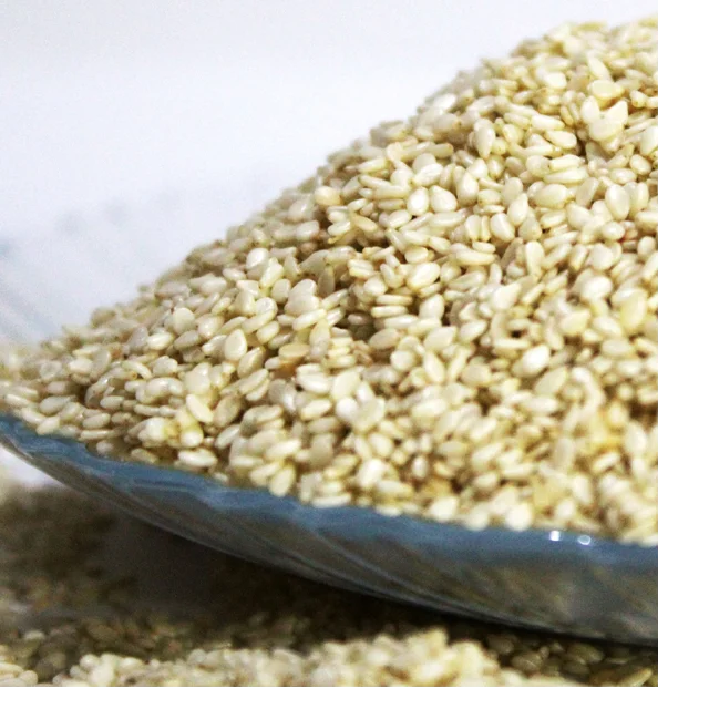 Foodies (PVT.) Limited Pakistani Sesame Seed Importer of Top Quality Healthy Seeds For Daily Uses