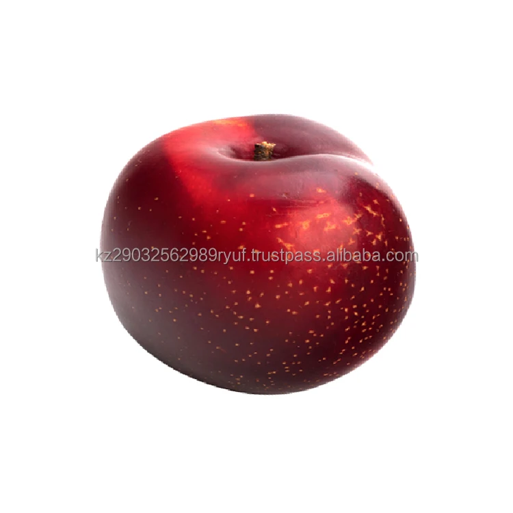 Premium class plum excellent performance good frost resistance fleshy rather firm with an aftertaste of fresh sourness