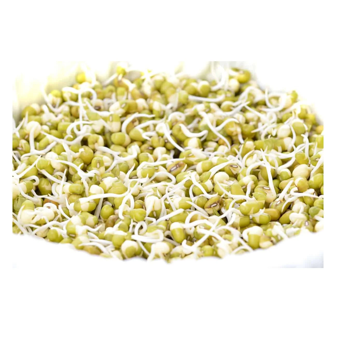 Wholesale Natural Organic High Quality Green Mung Beans For Sprouting Green Vigna Beans Green Gram Beans