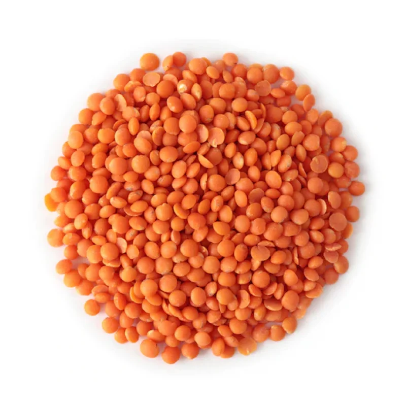 Organic Premium Grade Split Red Lentils Dried Chana Dal for Food Use Green Lentils Export Bulk