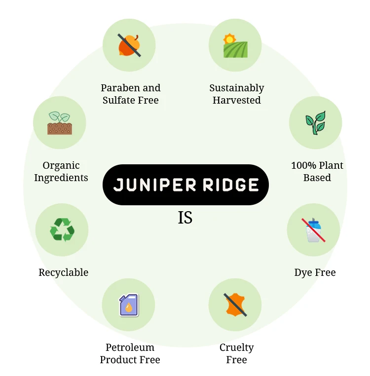 Wholesale Price Health Tea Hot Beverages Herbal Flavor Tea Best Quality Natural Yerba Santa Botanical Tea Bags for Sale