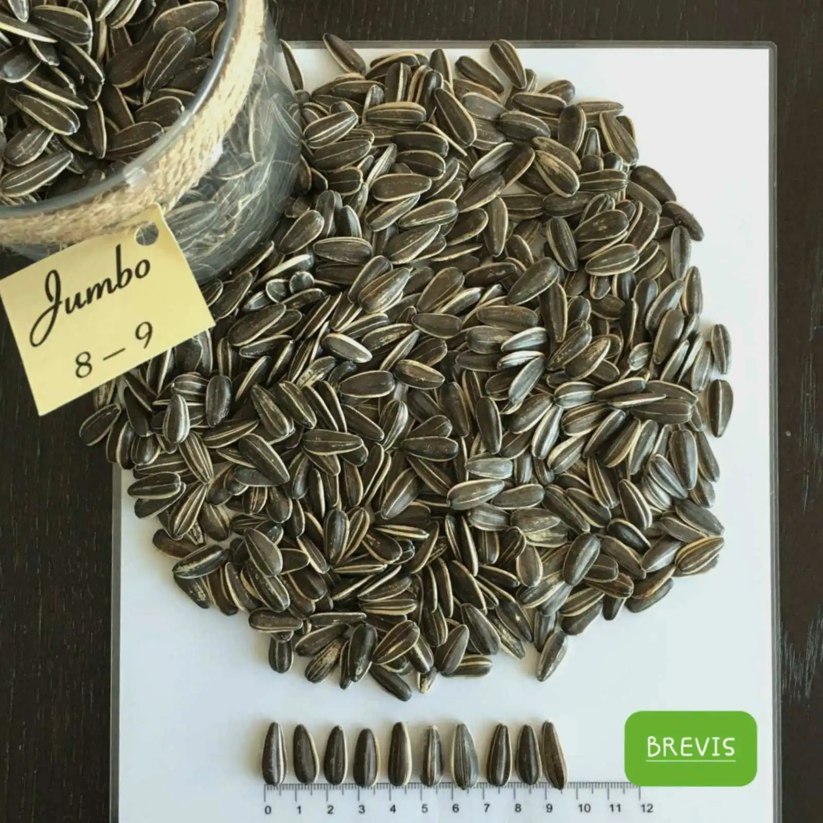Striped Sunflower Seeds Black Bags Raw Snacks Healty Food Bulgarian Origin JUMBO Type Big Size Top Grade