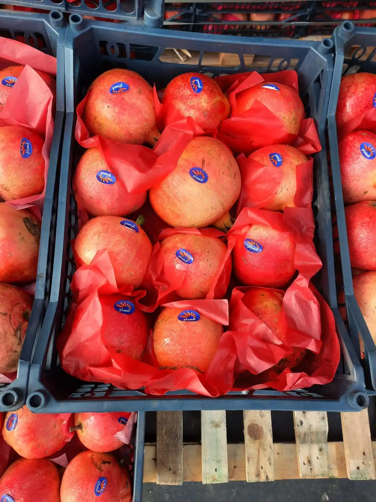 Свежий гранат