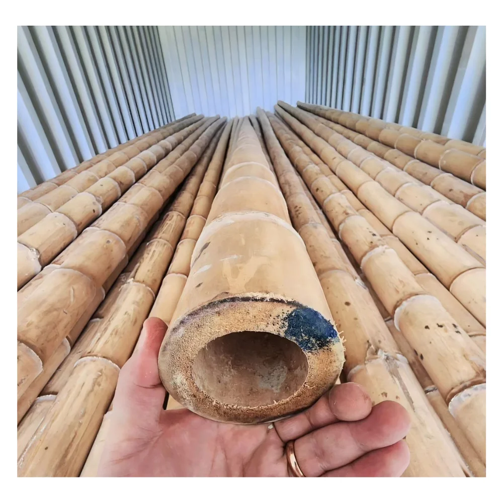 Экологически чистый бамбуковый столб садовый бамбук различных форм по самой низкой цене 2024