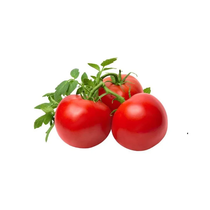 Wholesale Natural Vegetables Fresh Natural Cooked Tomatoes