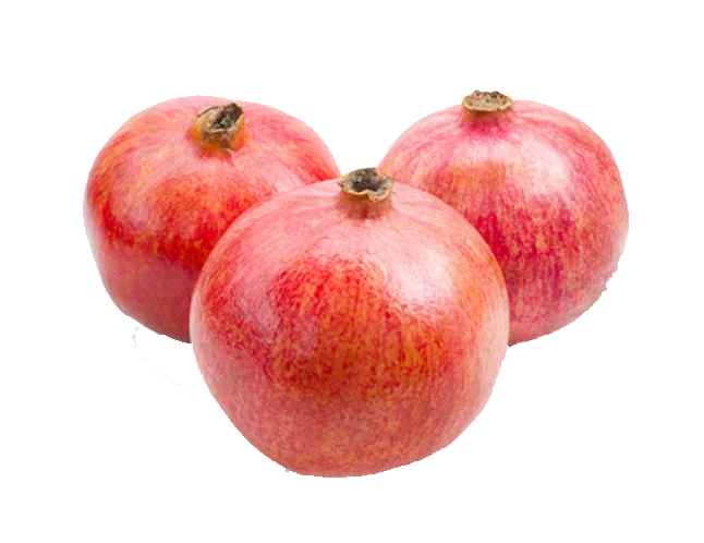 04000 (1).png