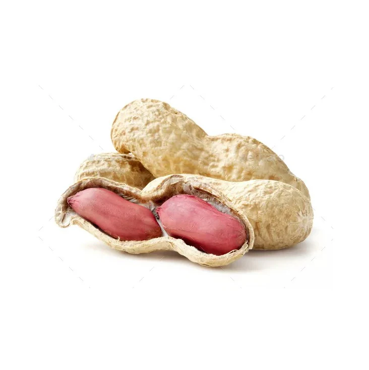Good quality peanuts 100% Natural peanut Peanut without shell