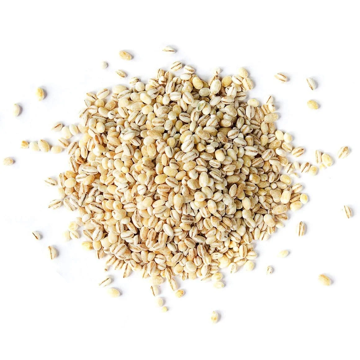 Wholesale Good Quality Beneficial in Nutrients Barley Grains