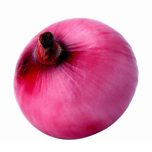 red onion for sale / premium quality red onion wholesale/low price onion