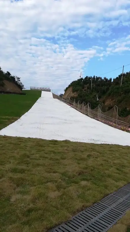 2020 hot selling White 80*20cm Plastic artificial non slip Dry ski slope mat for amusement