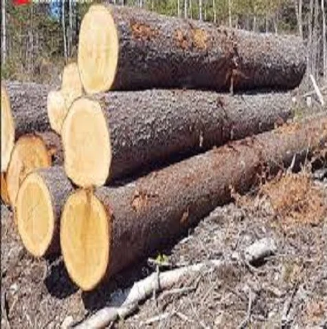 Оптовая продажа, из тикового дерева, соснового и красного вишневого дерева