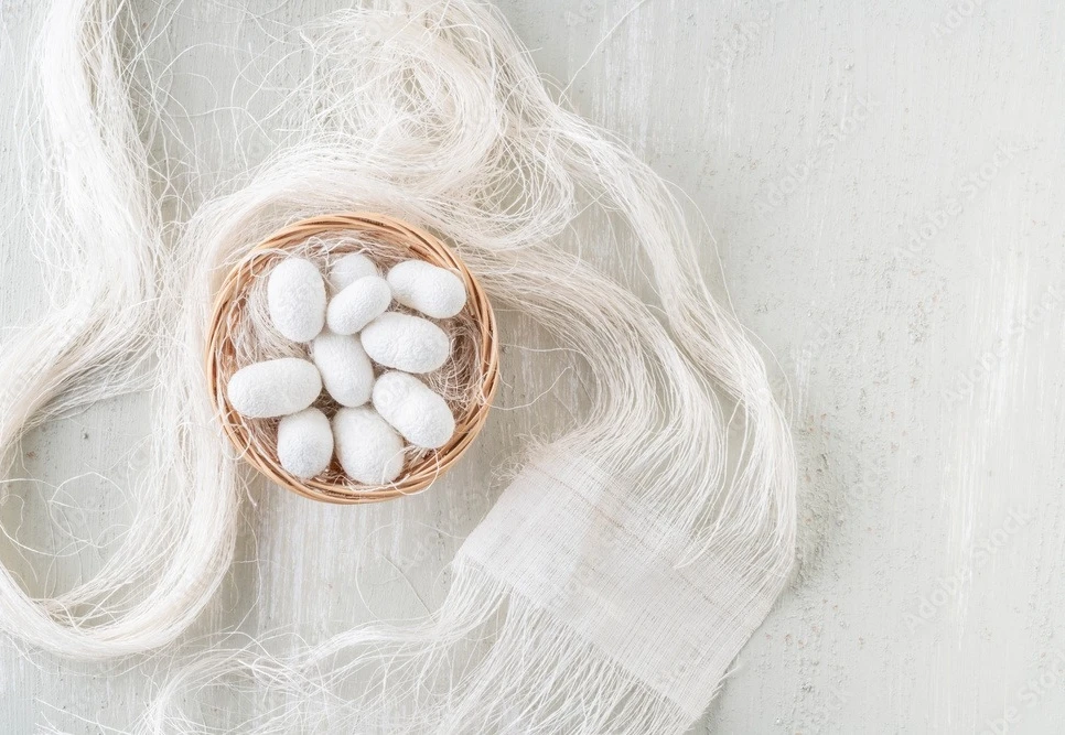 Wholesale Vietnam factory silk fiber silkworm 100% Natural silkworm cocoon for beauty-Quality silk fiber