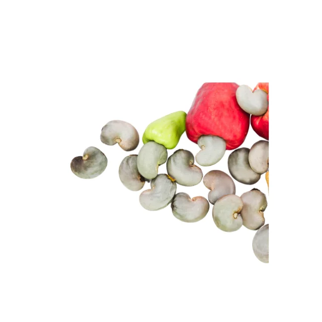 Лидер продаж сырые орехи кешью из StarLab собранные прямо в саду по хорошей цене