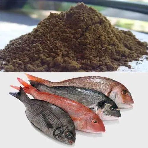 Premium Quality 100% Pure and Natural Animal Feed Fish Meal Available At Wholesale Price From India
