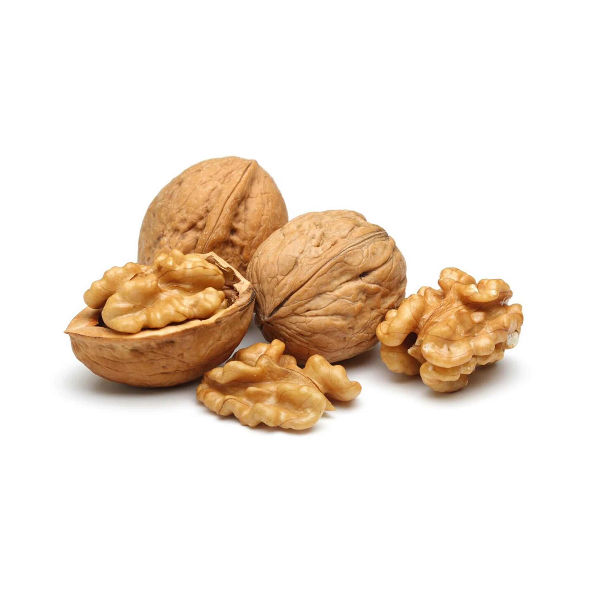 Extra light Grade Wholesale Natural Bulk Large Walnut nut from Uzbekistan box Walnut in Shells for food