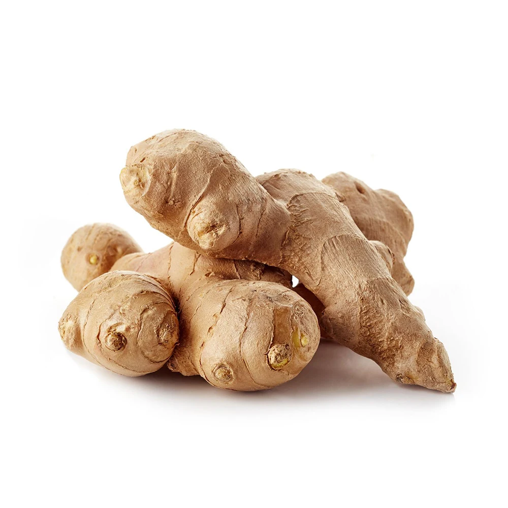 New arrival of fresh ginger new crop from Vietnam wholesale exporters with ginger root market price for export in bulk