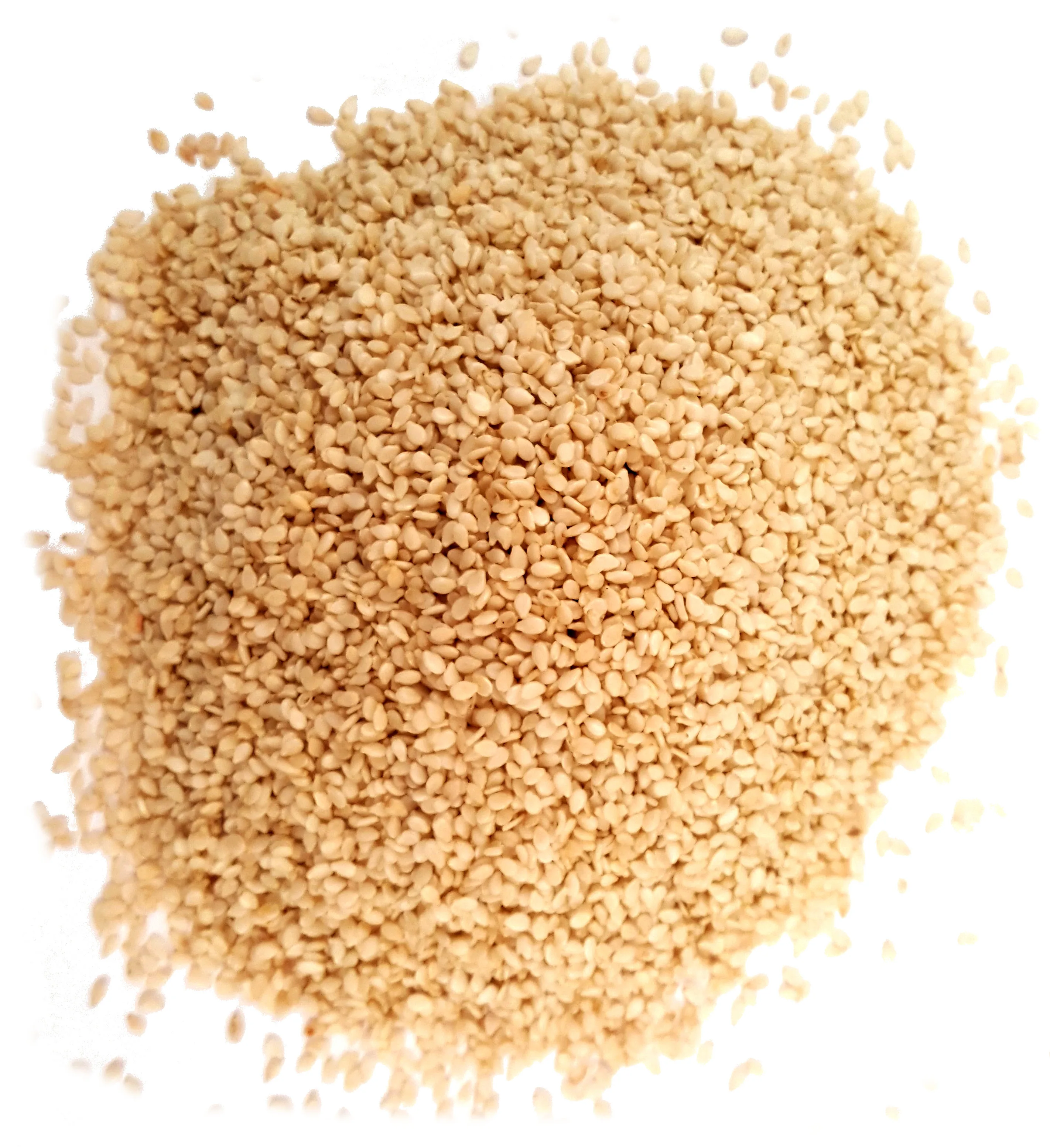 Wholesale Dried White Sesame Seeds Organic Sesame Seeds Sesame Price Per Ton