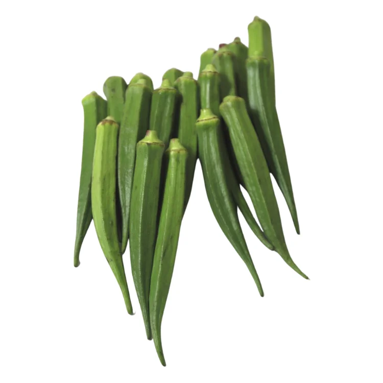 fresh okra OEM new crop using for many purposes TCVN packing in carton Made in Vietnam Manufacturer