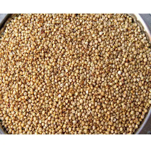 dried  Pearl Millet 2.jpg