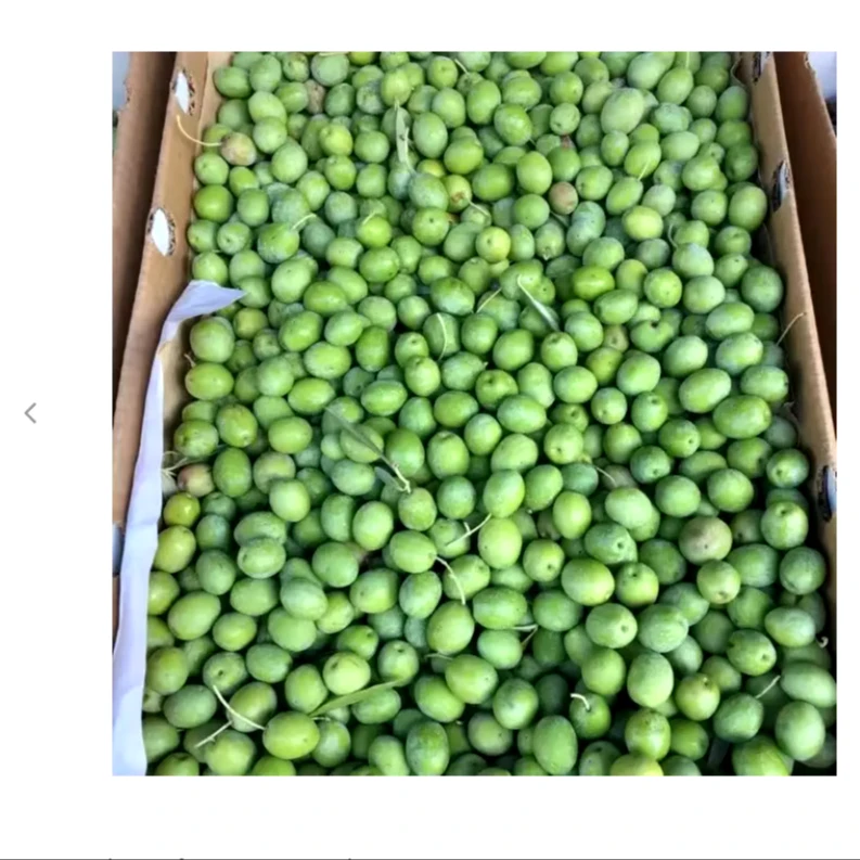 Свежие оливки доступны для продажи.